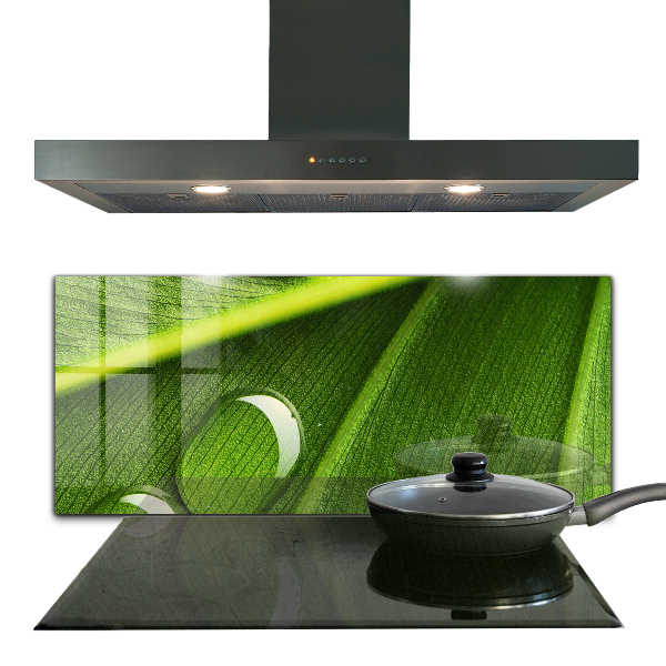 Kitchen splashback Dew drop on a leaf