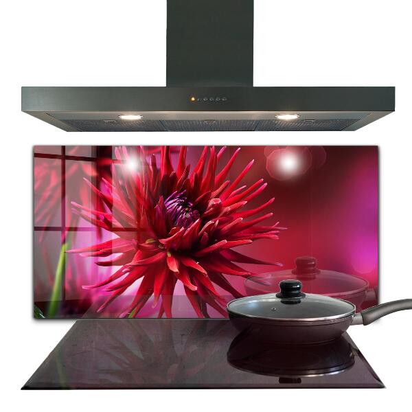 Kitchen splashback Red dahlia flower