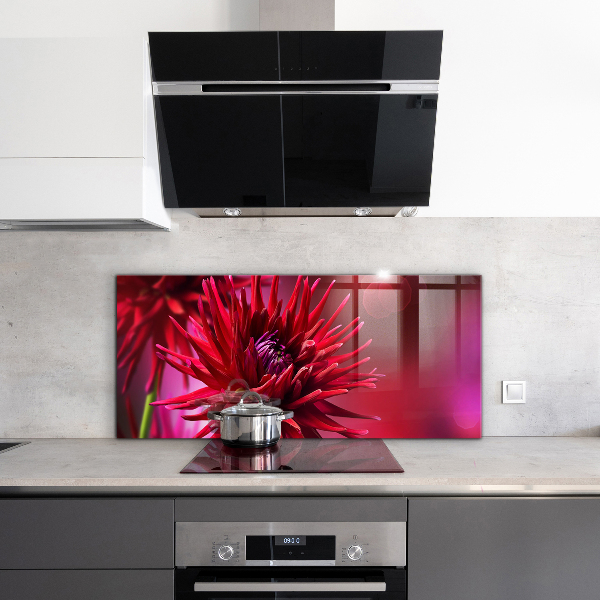 Kitchen splashback Red dahlia flower