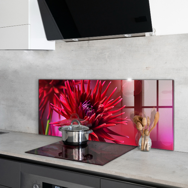 Kitchen splashback Red dahlia flower