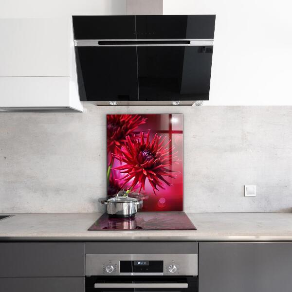 Kitchen splashback Red dahlia flower