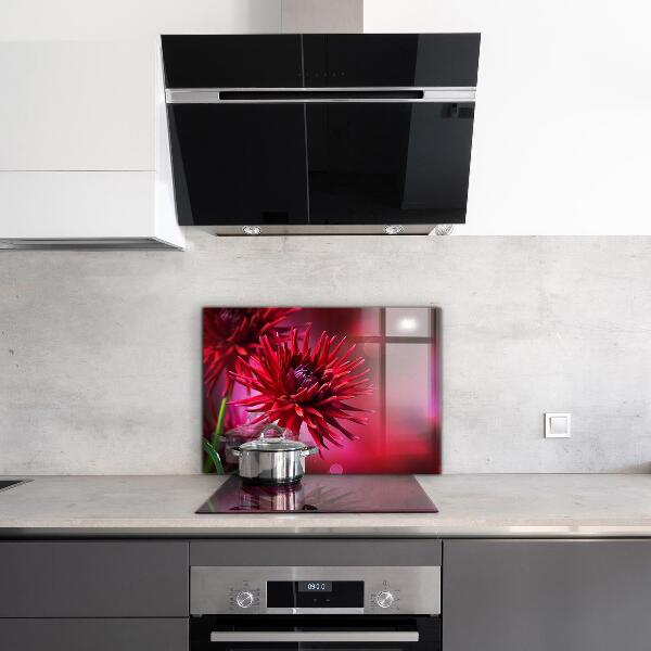 Kitchen splashback Red dahlia flower