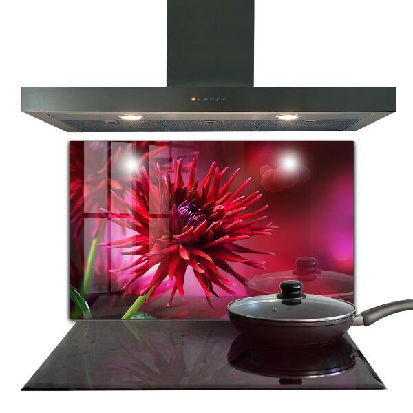 Kitchen splashback Red dahlia flower