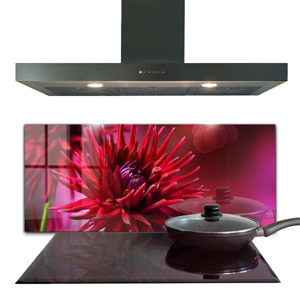 Kitchen splashback Red dahlia flower
