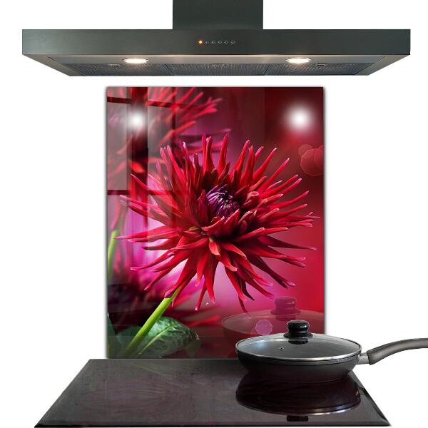 Kitchen splashback Red dahlia flower