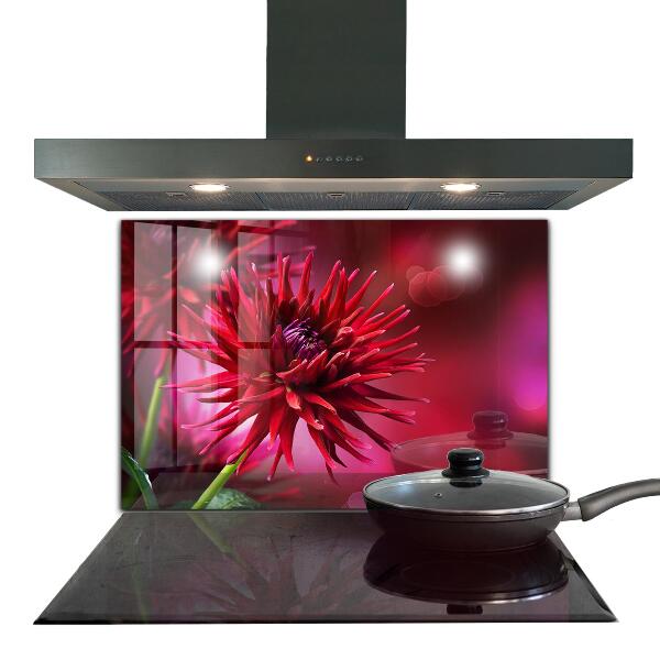 Kitchen splashback Red dahlia flower