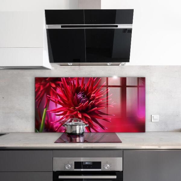 Kitchen splashback Red dahlia flower