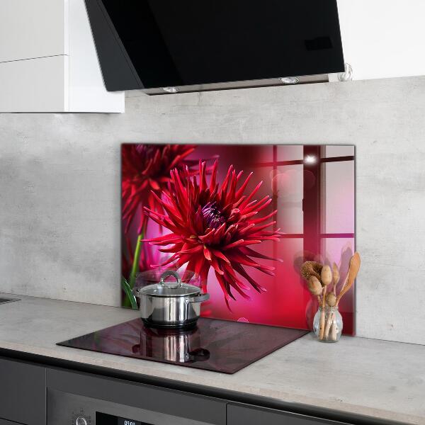 Kitchen splashback Red dahlia flower