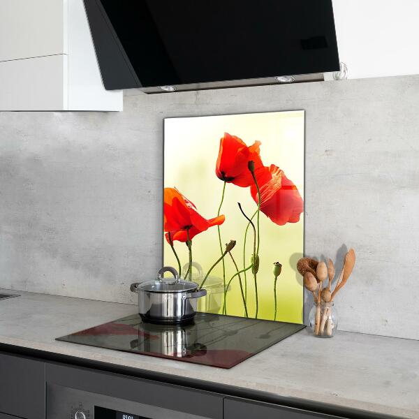 Kitchen splashback Field meadow with red poppies
