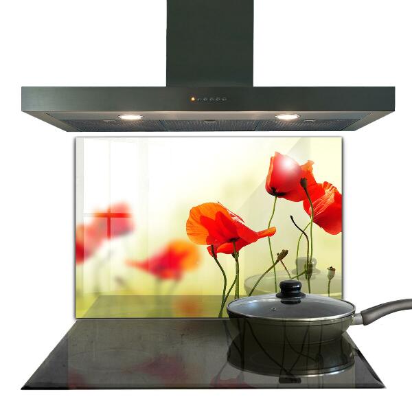 Kitchen splashback Field meadow with red poppies