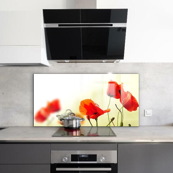 Kitchen splashback Field meadow with red poppies