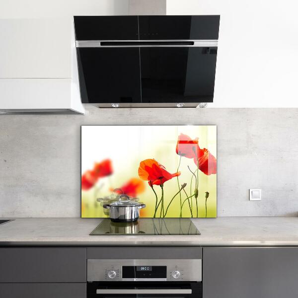 Kitchen splashback Field meadow with red poppies