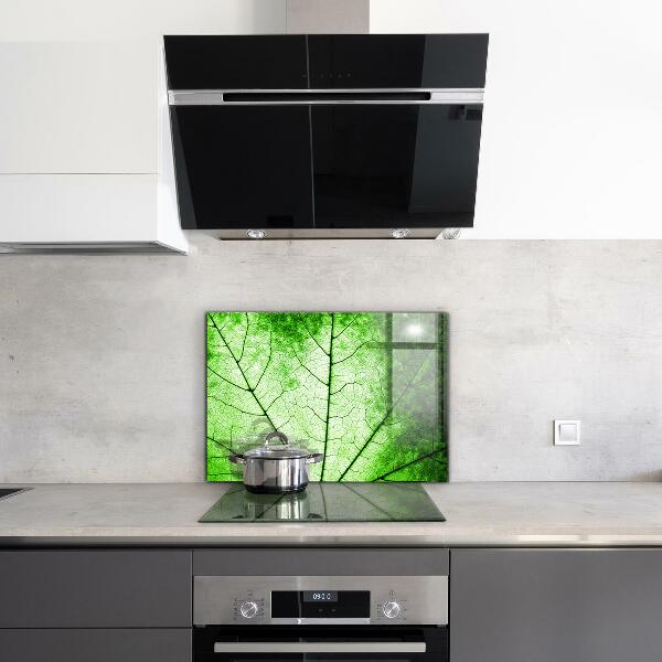 Kitchen splashback Green leaf texture
