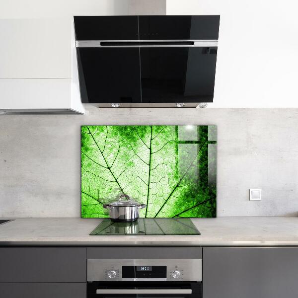 Kitchen splashback Green leaf texture