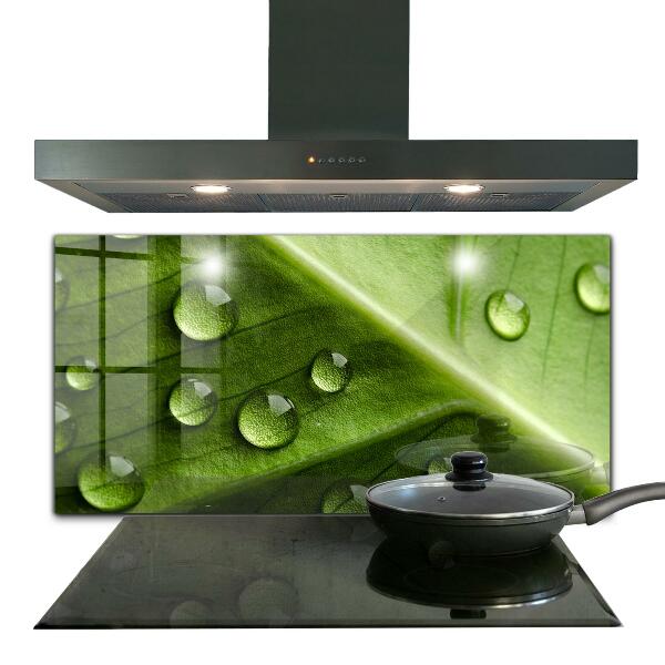 Kitchen splashback Leaf with drops of morning dew