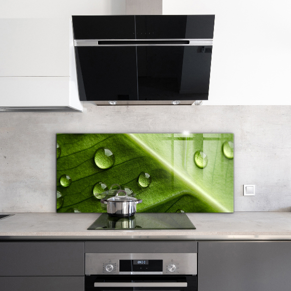 Kitchen splashback Leaf with drops of morning dew