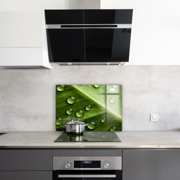 Kitchen splashback Leaf with drops of morning dew