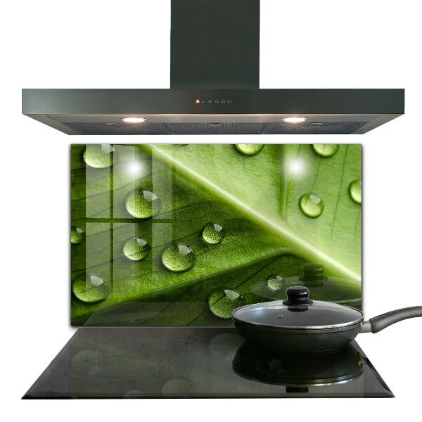Kitchen splashback Leaf with drops of morning dew