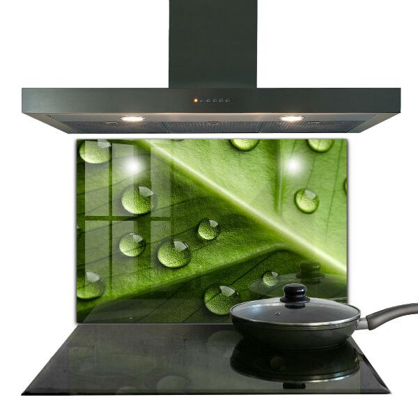 Kitchen splashback Leaf with drops of morning dew
