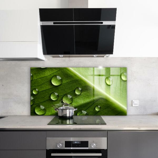 Kitchen splashback Leaf with drops of morning dew