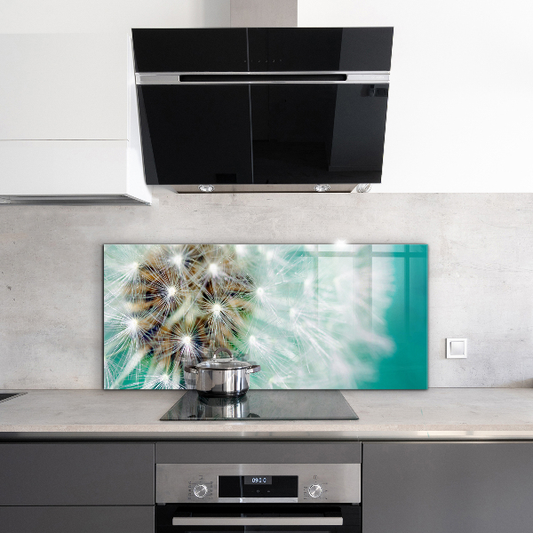 Kitchen splashback Dandelion in the wind plant