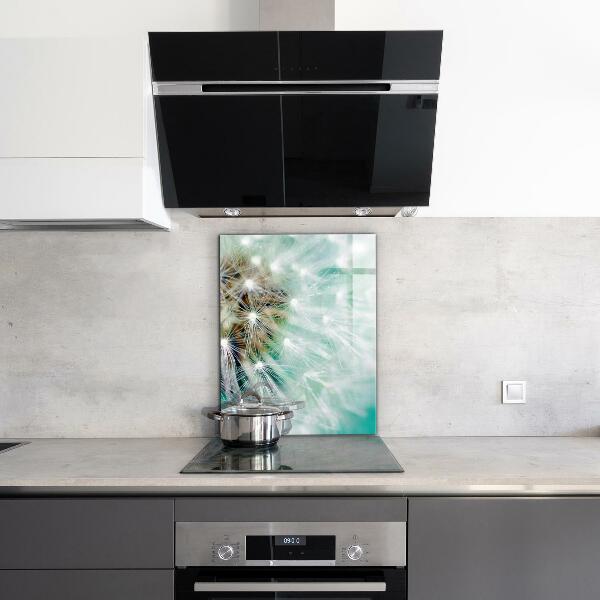 Kitchen splashback Dandelion in the wind plant