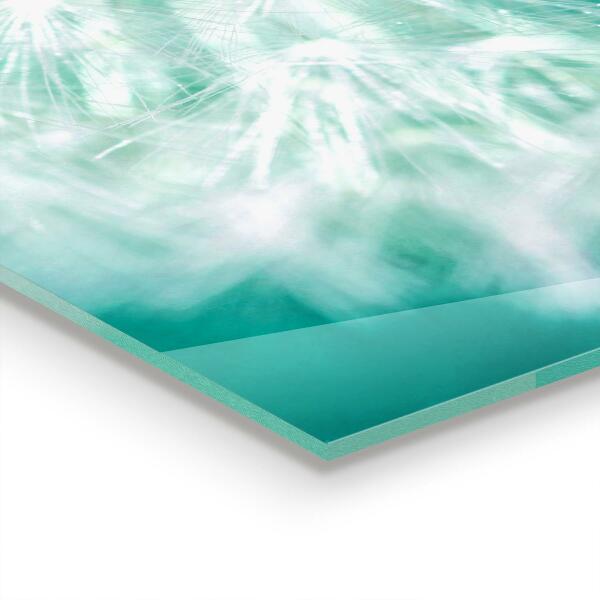 Kitchen splashback Dandelion in the wind plant