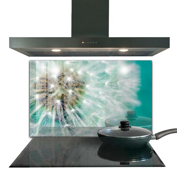 Kitchen splashback Dandelion in the wind plant