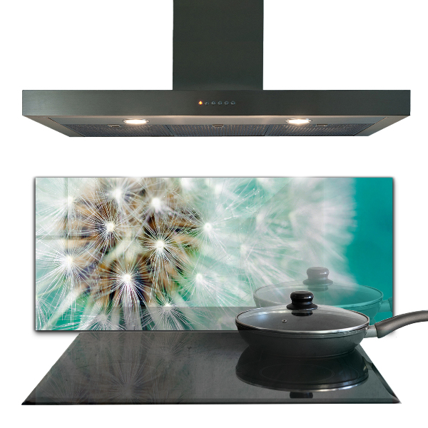 Kitchen splashback Dandelion in the wind plant