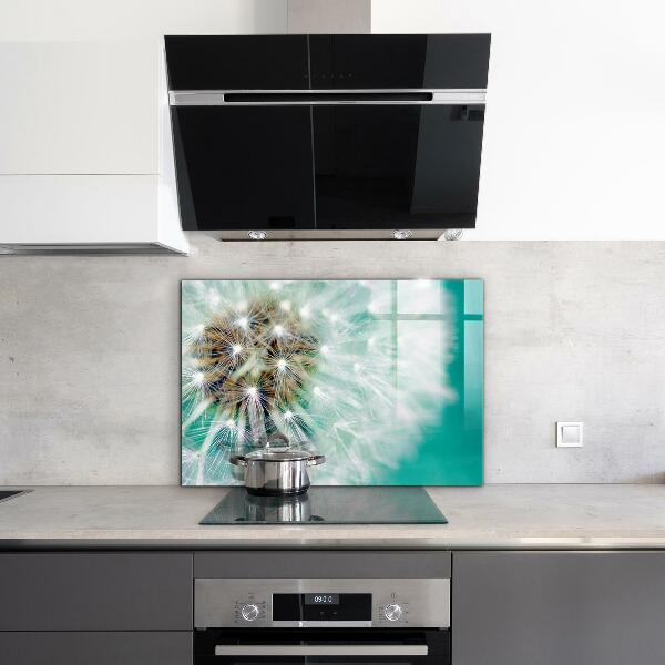 Kitchen splashback Dandelion in the wind plant