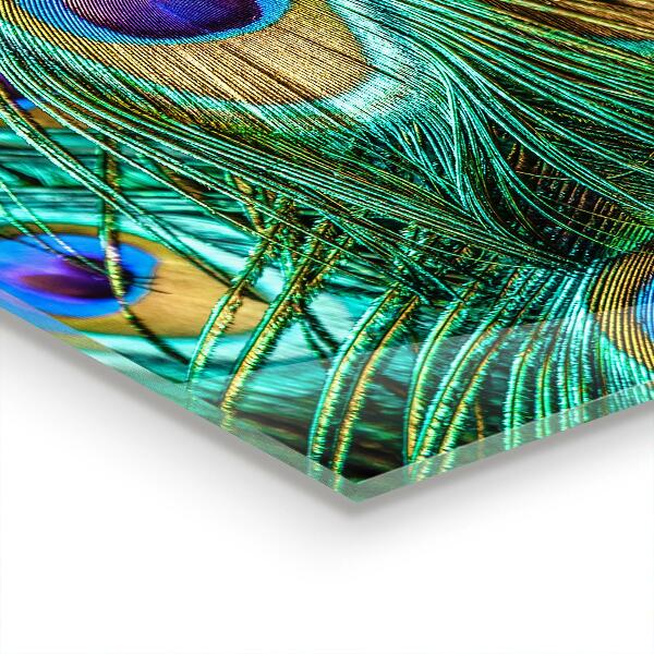 Glass splashback Peacock feathers beautiful nature
