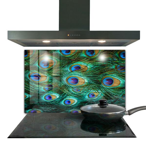 Glass splashback Peacock feathers beautiful nature