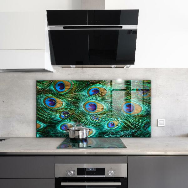 Glass splashback Peacock feathers beautiful nature