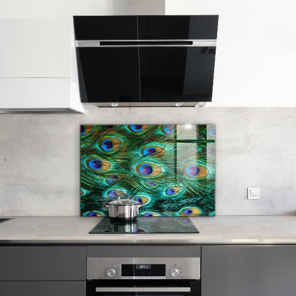 Glass splashback Peacock feathers beautiful nature