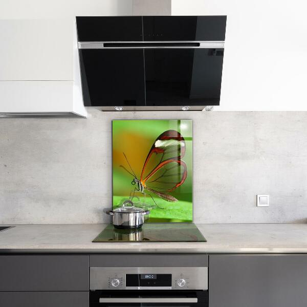 Cooker splashback Butterfly on a leaf