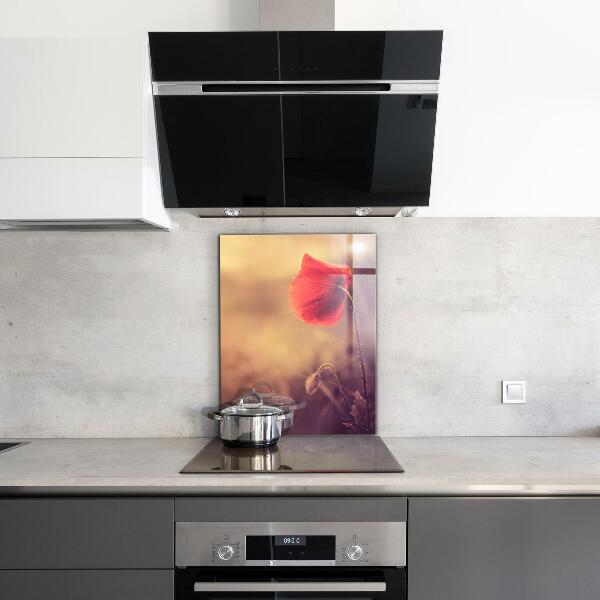 Kitchen splashback Vintage poppy plant