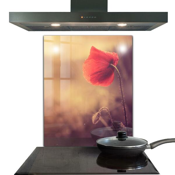 Kitchen splashback Vintage poppy plant