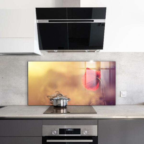 Kitchen splashback Vintage poppy plant