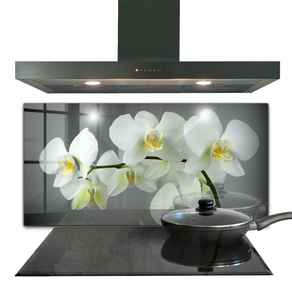 Kitchen splashback White orchid on black background