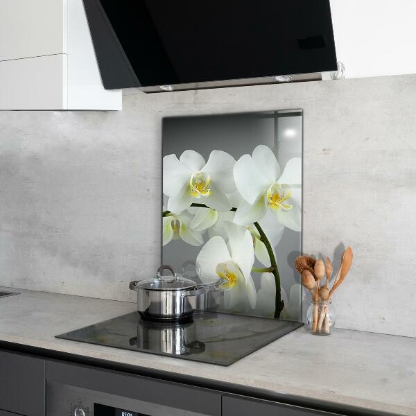 Kitchen splashback White orchid on black background