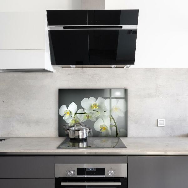 Kitchen splashback White orchid on black background