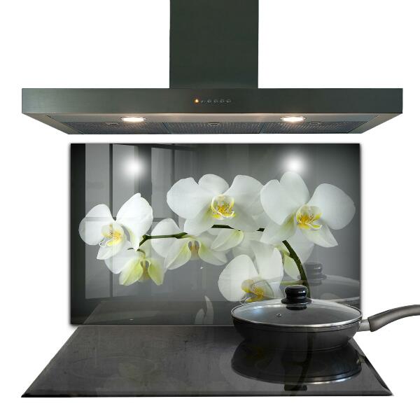 Kitchen splashback White orchid on black background
