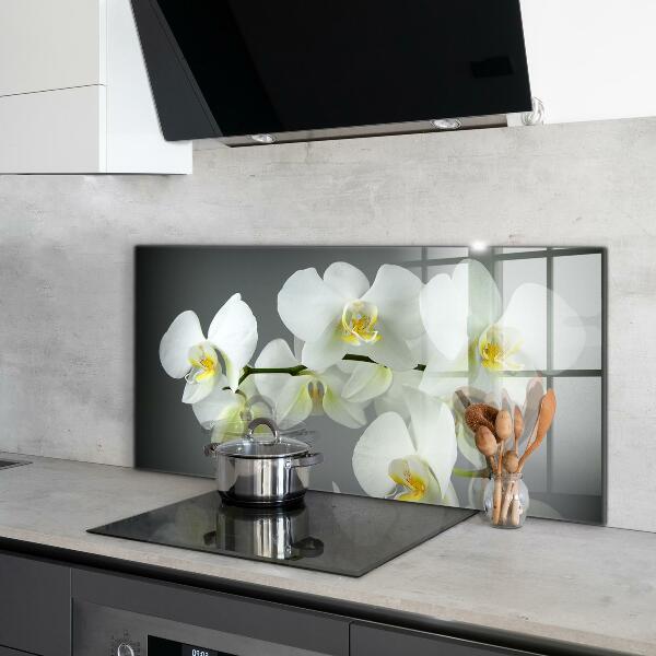 Kitchen splashback White orchid on black background