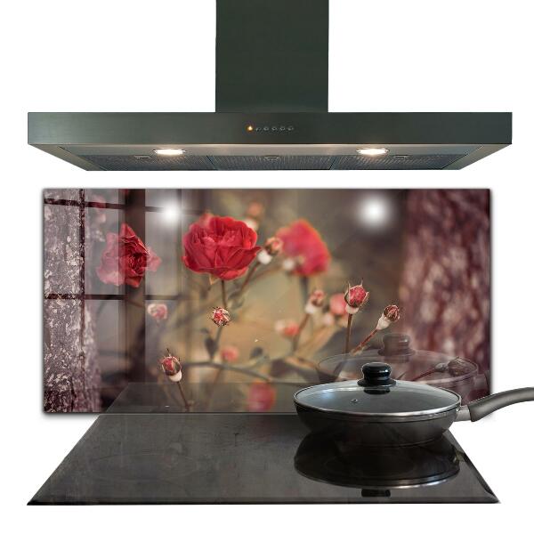 Kitchen splashback Wild rose in the park