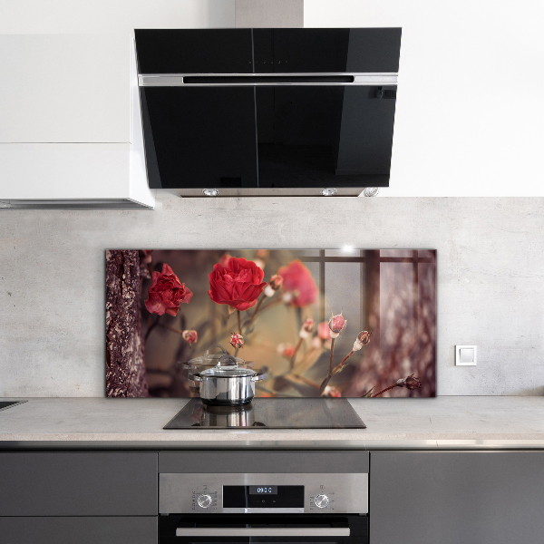 Kitchen splashback Wild rose in the park