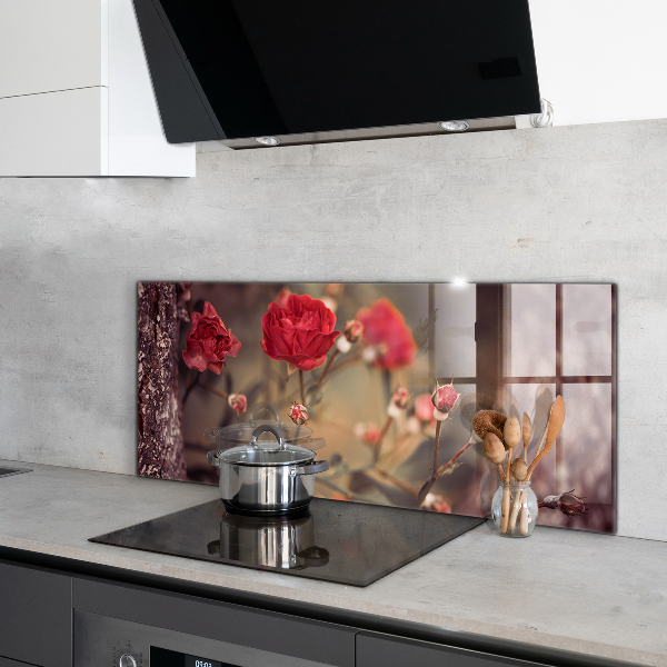 Kitchen splashback Wild rose in the park