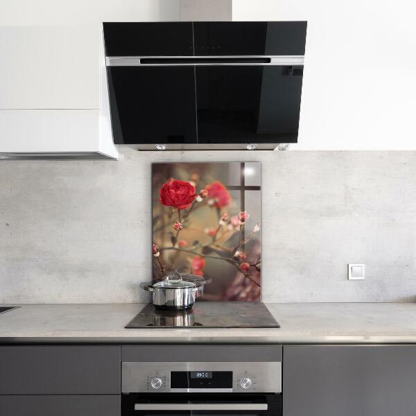 Kitchen splashback Wild rose in the park