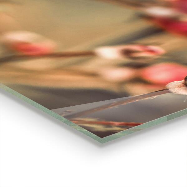 Kitchen splashback Wild rose in the park