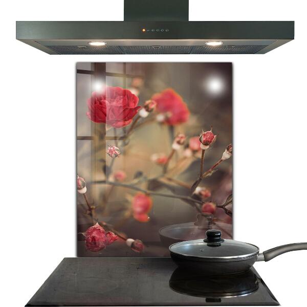 Kitchen splashback Wild rose in the park