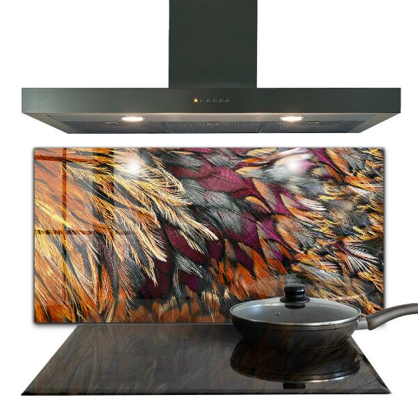 Glass splashback Colorful bird feathers